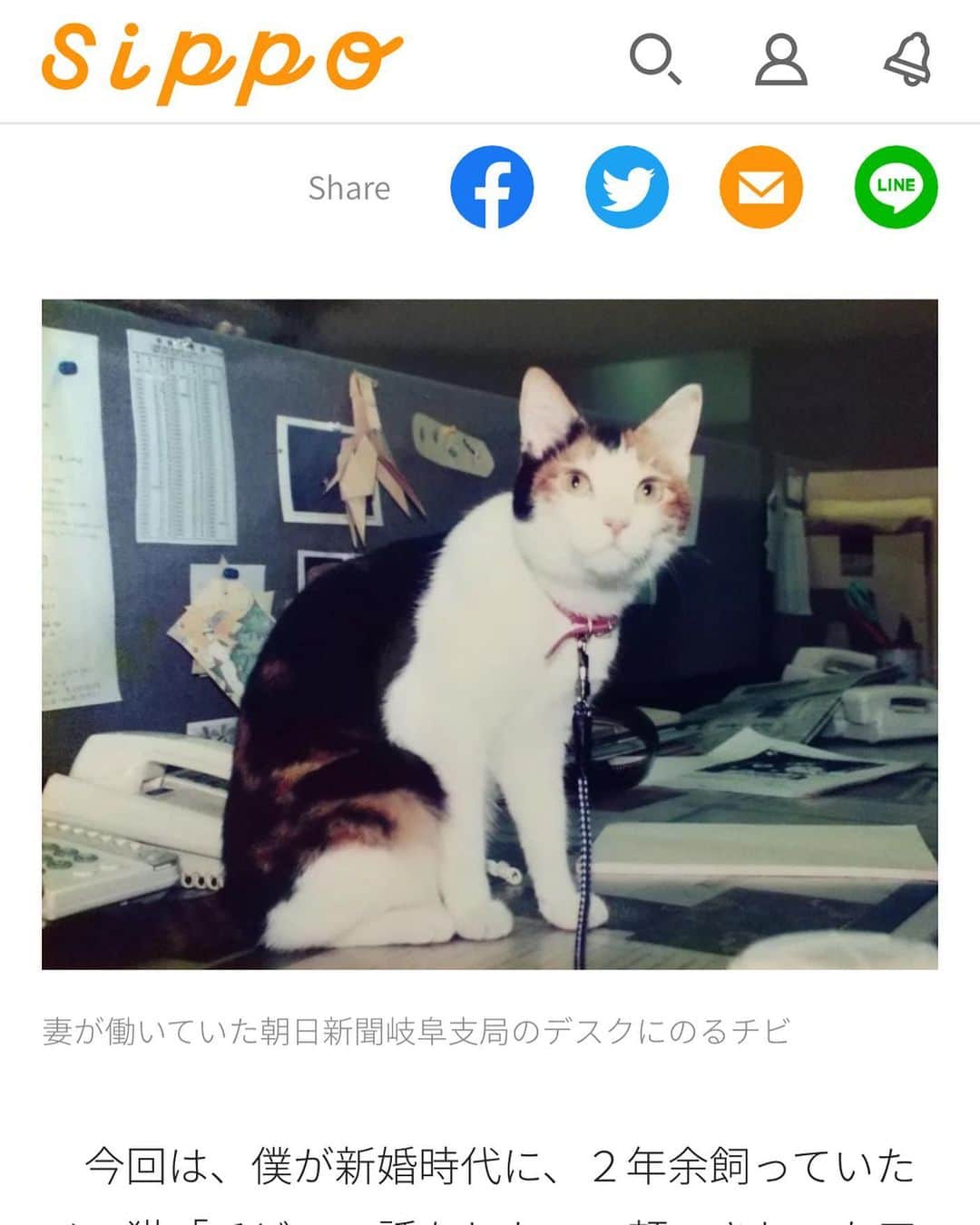 sippoさんのインスタグラム写真 - (sippoInstagram)「【オススメ記事】  おなかに赤ちゃんがいるガリガリの野良猫🐈  栄養不良を見過ごすことができず、ウインナーをあげたら、翌日なぜかベランダに産まれたばかりの赤ちゃん猫が😳  連載「日だまり猫通信」 著者は佐藤陽さん  記事は、ストリーズのリンク、または @sippo_official プロフィールのサイトリンクから新着情報をご覧いただくか、こちらのURLからどうぞ→ https://sippo.asahi.com/article/14018491  #三毛猫 #子猫 #赤ちゃん猫」12月16日 20時34分 - sippo_official
