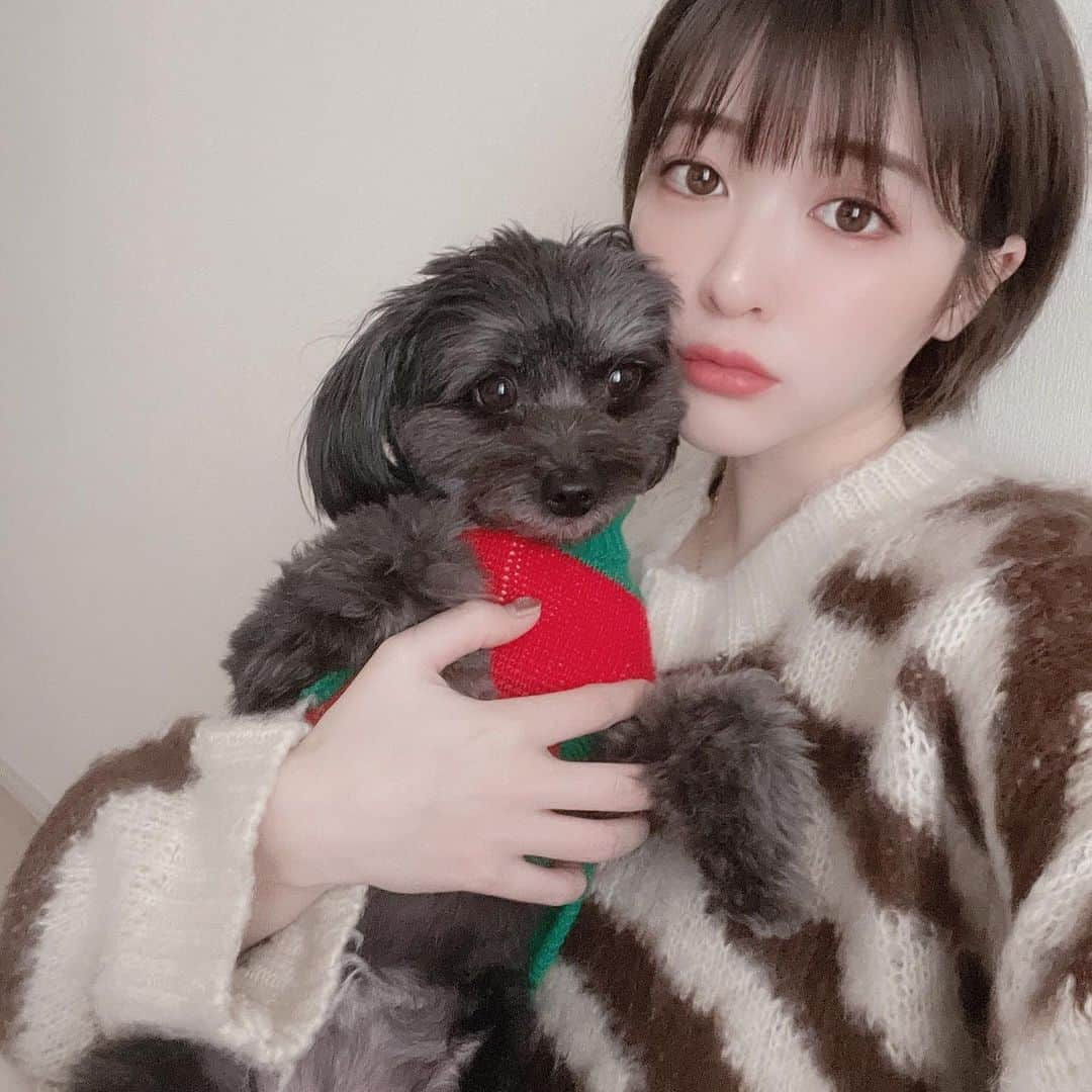 吉田菫さんのインスタグラム写真 - (吉田菫Instagram)「. 先日4歳になったこめち🐶🌾 間違いなくこの子のお陰で心穏やかになれている♡頑張ろって思える♡  こめのおかげで動物に関する資格も取ったし、言葉が分からない分もっと動物達がのびのび生きれるようになにか出来ないかなぁと思って、そういう活動をしてるコミュニティにも参加している💞  本当にこめ中心の生活が当たり前だけど娘のような親友のような感覚。。。一生面倒見させてね😌💞いっぱいいっぱい楽しいことをしようね！ 　 日本ももっとペットと一緒にどこでも行けるようにならないかなぁ。  私が着てるお洋服は　@chiik.official  の♡ 家にゼブラ柄が溢れかえっている🦓💞 #chiik」12月16日 20時43分 - sumiredooon1228