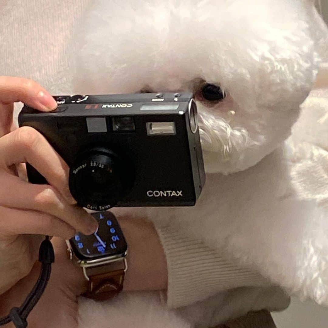 カン・ミンギョン さんのインスタグラム写真 - (カン・ミンギョン Instagram)「내 칭구는 초식공룡」12月16日 21時08分 - iammingki