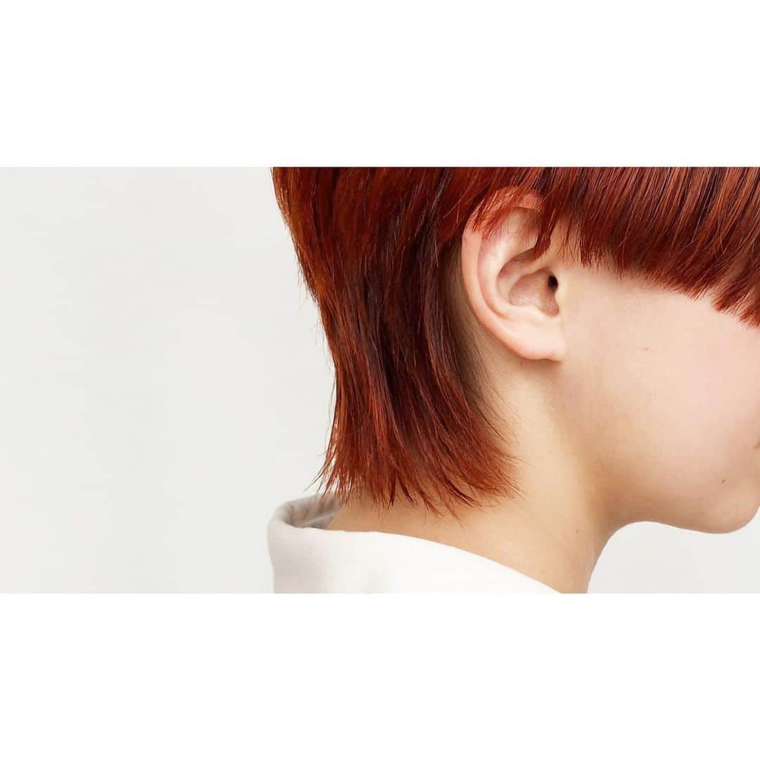 のインスタグラム：「▼ vetica guest hair▼ 潔く切り込むショートウルフ🍁🌾🍂  hair 福江　@akkooodasu   #vetica #tokyo #harajuku #ladies #beauty #hair #cut #color」