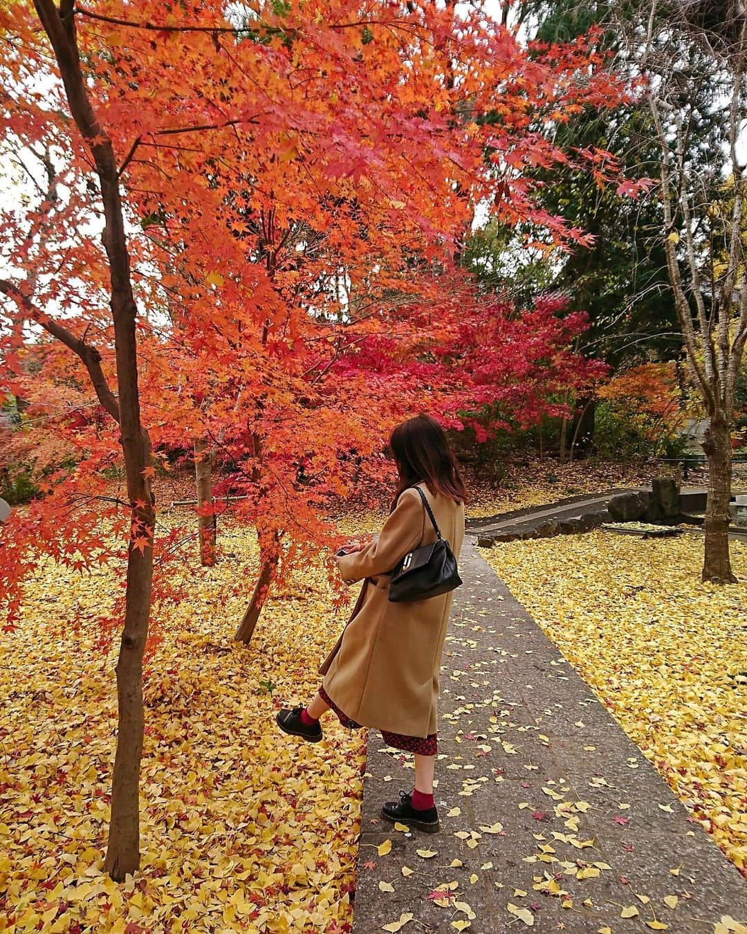 藤井美菜さんのインスタグラム写真 - (藤井美菜Instagram)「. 今年の東京は12月に紅葉が見頃でしたね！ゆっくり紅葉を満喫できました🍁 올해 도쿄는 12월에 단풍이 예뻐졌어요! 여유있게 단풍을 만끽할수 있었어요🍁 I enjoyed beautiful autumn leaves 2 days ago!! It’s especially late to see autumn leaves in December🍁  Coat.. @maisonkitsune  Tops.. @lecielbleu_official  Skirt.. @marni  Shoes.. @drmartensofficial  Bag.. @marcjacobs   #紅葉#黄葉#紅葉狩り#休日#紅葉2020#美菜私服#단풍#일상#일상스타그램#autumnleaves#ootd」12月16日 21時22分 - fujii_mina_0715