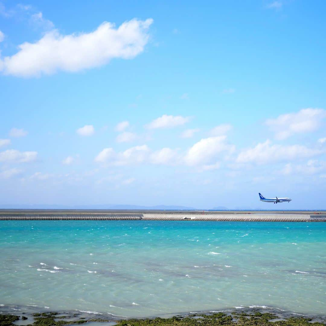 今井安紀さんのインスタグラム写真 - (今井安紀Instagram)「Off to Okinawa again!! First I went to Senagajima Island to have lunch. That was my first time to visit there. The view was still beautiful, but it was soooo windy!!! I had orion beer, garlic shrimp, long french fries with cheese, taco-rice and so on, those were so delicious. また沖縄に行ってました。 今回は初めて瀬長島に連れてってもらい、ウミカジテラスでランチ食べました。ガーリックシュリンプ、ロングチーズフレンチフライ的なやつなどなど、オリオンビールに合う。しかーしめっちゃ強風！最後の写真の木の様子で伝わるでしょうか。2枚目寝不足プラス強風ですごい顔してる。笑  Camera : No1, 3-7 Olympus PEN E-PL9 No.2 iPhone #olympuspenepl9 #noedit #nofilter #photolover #latergram #okinawa #trip #travel #senagajima #umikajiterrace #orionbeer  #オリンパスPEN #加工なし #撮って出し #写真好きな人と繋がりたい #時差スタグラム #旅 #旅行 #沖縄 #瀬長島 #瀬長島ウミカジテラス #ウミカジテラス #オリオンビール #ガーリックシュリンプ」12月16日 21時26分 - i_am_akinyan0826