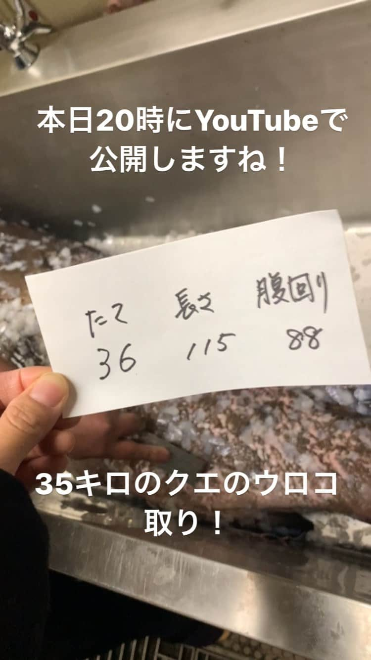 佐々木主浩のインスタグラム：「35キロのクエを捌きます✨今日20時にYouTubeで公開しますのでお楽しみに！ #釣り #佐々木主浩 #クエ #アラ #野球 #プロ野球 #ベイスターズ #denaベイスターズ #マリナーズ #ウロコ取り #寿司 #モロコ #大物釣り #競馬 #馬主 #サーキット #スーパーGT」