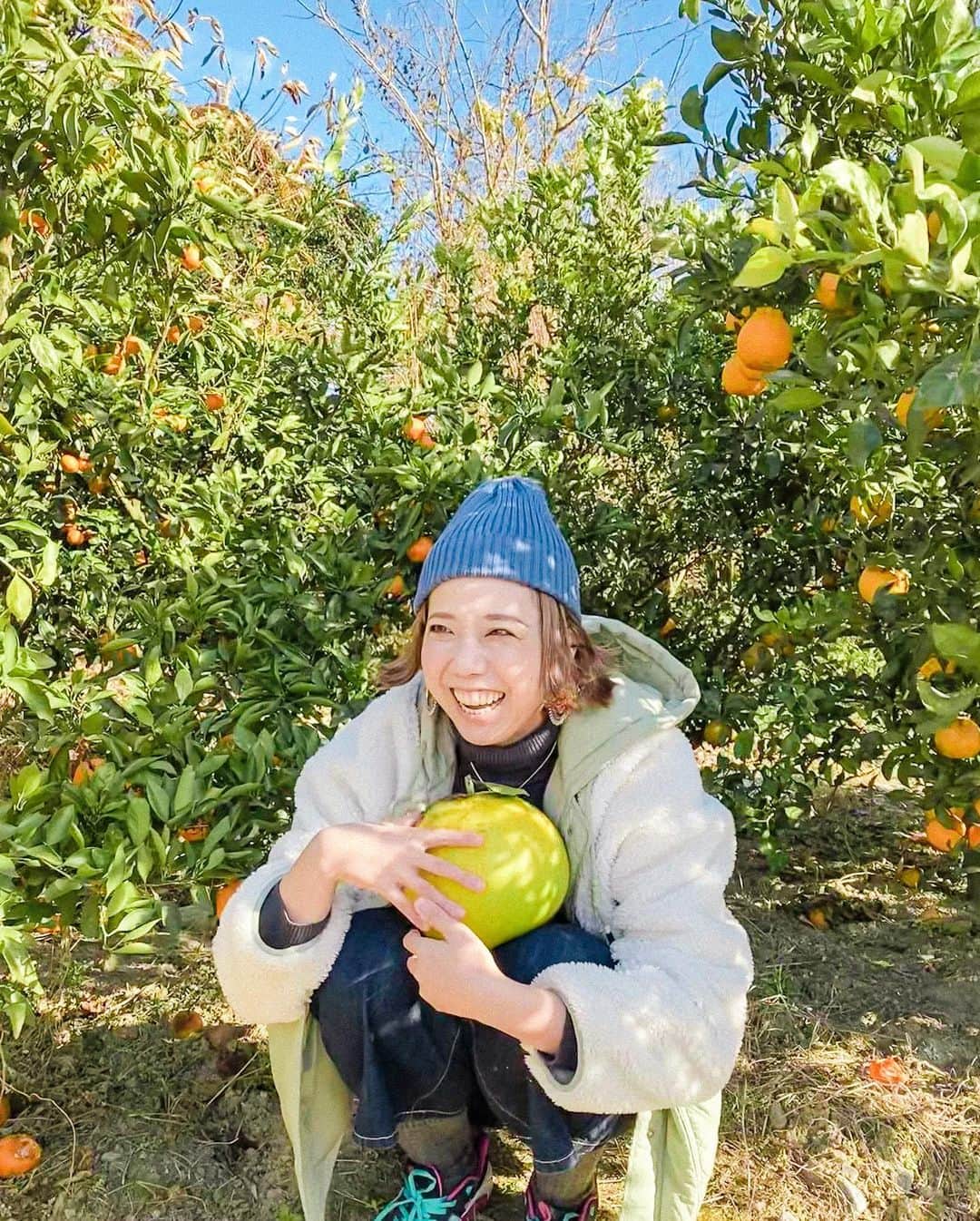 AZさんのインスタグラム写真 - (AZInstagram)「🍊🍋🍊🍋  最高に楽しかったー！ 柑橘の豊かな香りに包まれた午後🍋  @miwa3283838  @naka.y0206   林さん、一緒に連れて行ってくれた皆さん 幸せタイムをありがとうございました〜✨  ストーリーズで、 しょーもない素人のゆず狩りの様子をご覧ください笑😉」12月16日 12時50分 - az.momoharu
