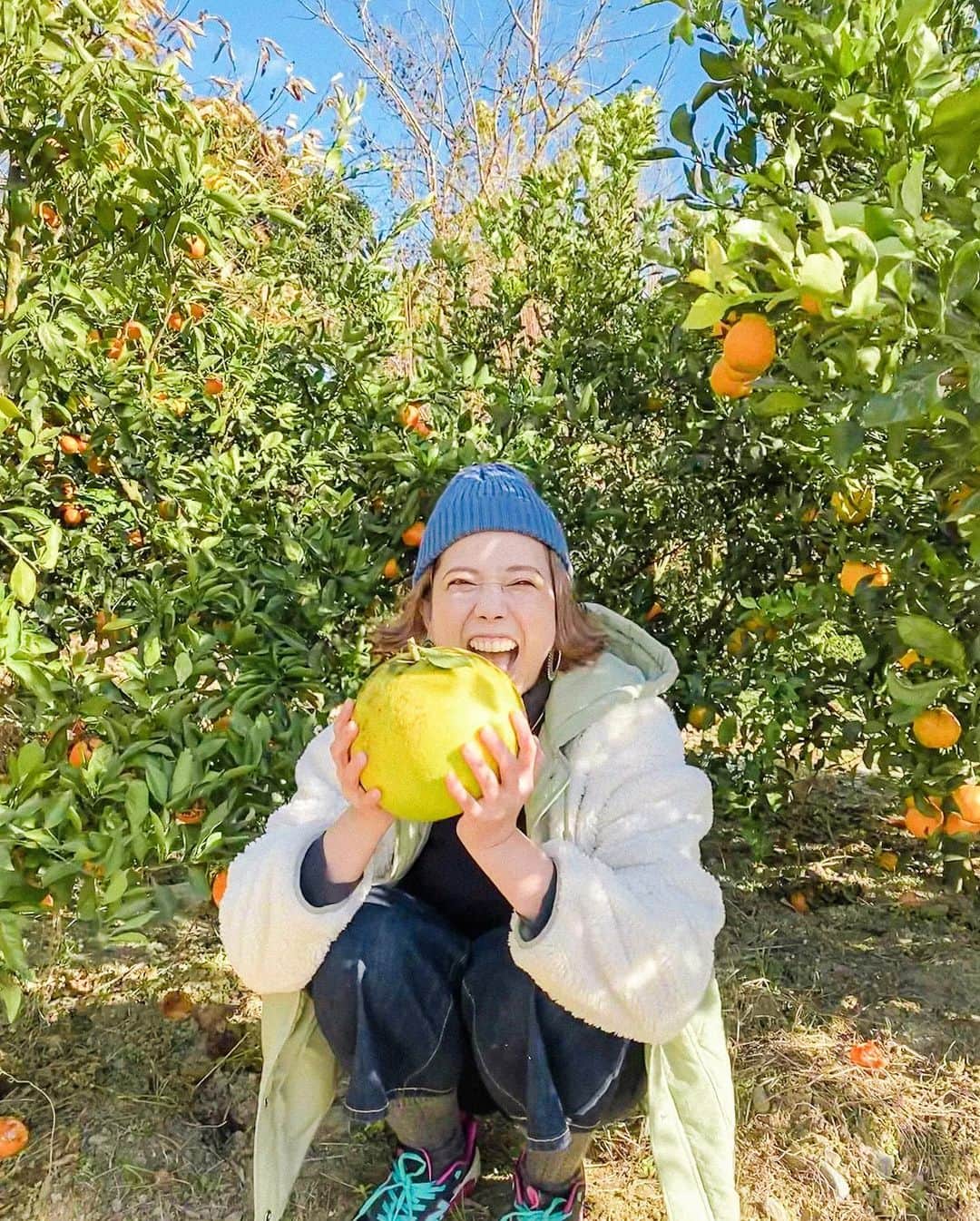 AZさんのインスタグラム写真 - (AZInstagram)「🍊🍋🍊🍋  最高に楽しかったー！ 柑橘の豊かな香りに包まれた午後🍋  @miwa3283838  @naka.y0206   林さん、一緒に連れて行ってくれた皆さん 幸せタイムをありがとうございました〜✨  ストーリーズで、 しょーもない素人のゆず狩りの様子をご覧ください笑😉」12月16日 12時50分 - az.momoharu