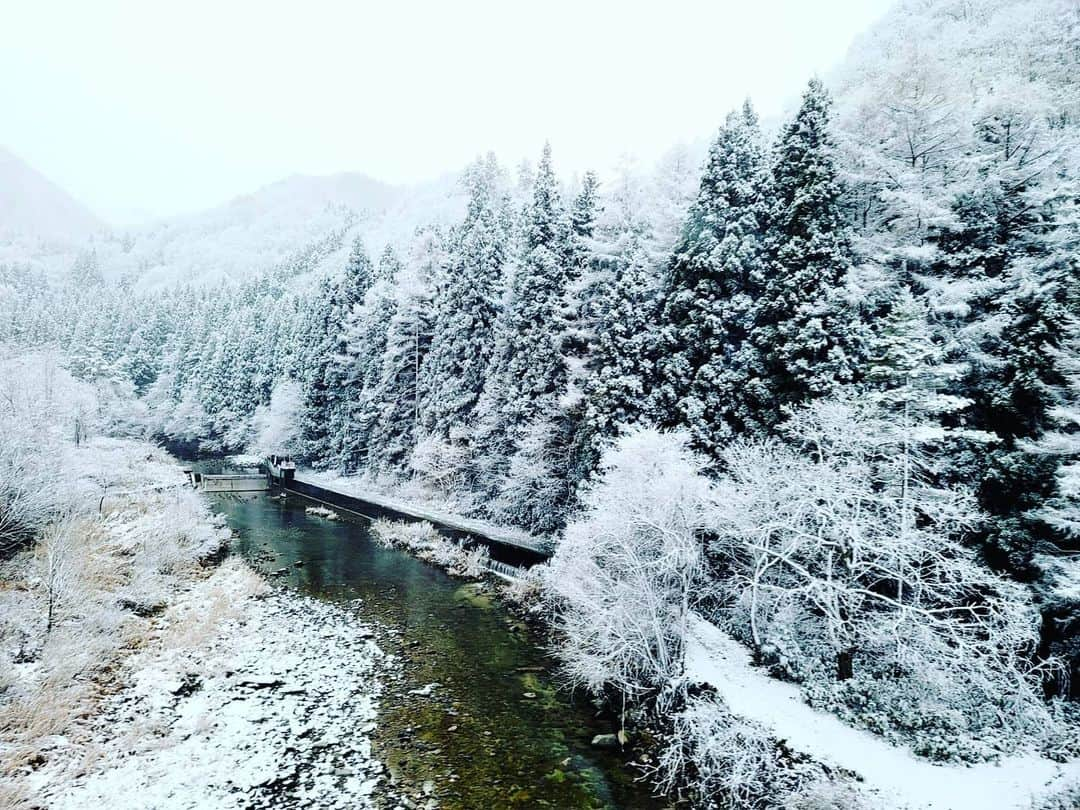 Shihoさんのインスタグラム写真 - (ShihoInstagram)「東北いったら冬が真っ盛りでした❄️  #winter #snow #冬 #雪景色 #山形南陽 #盛岡 #singerslife」12月16日 12時50分 - fried_pride_shiho