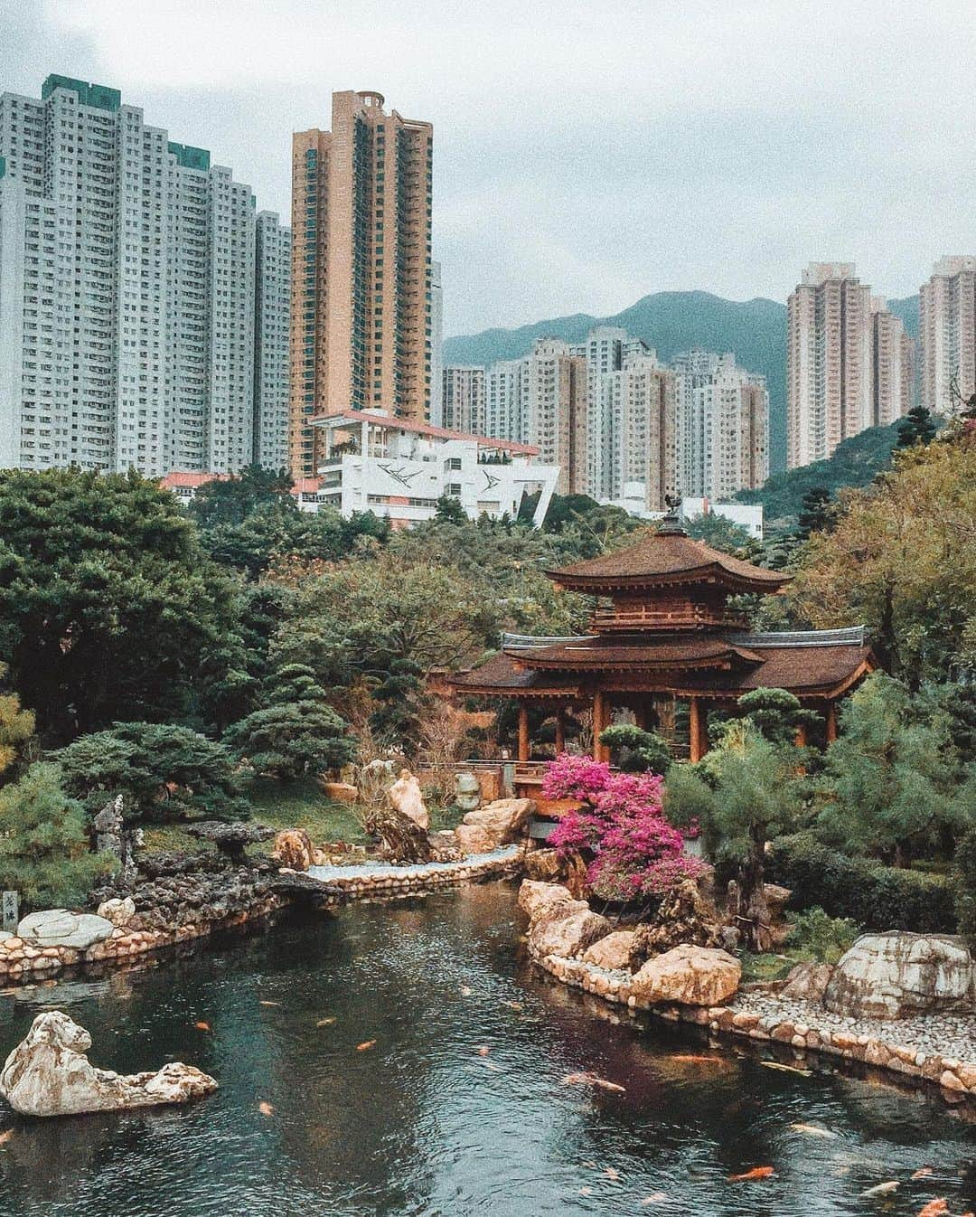 Discover Hong Kongさんのインスタグラム写真 - (Discover Hong KongInstagram)「Love this interesting harmony of the landscaped garden lying beneath the canopy of its surrounding concrete jungle! 水泥叢林之下有清幽園林，對比鮮明得嚟又見和諧。 📷: @pixieness  #DiscoverHongKong #repost」12月16日 13時00分 - discoverhongkong