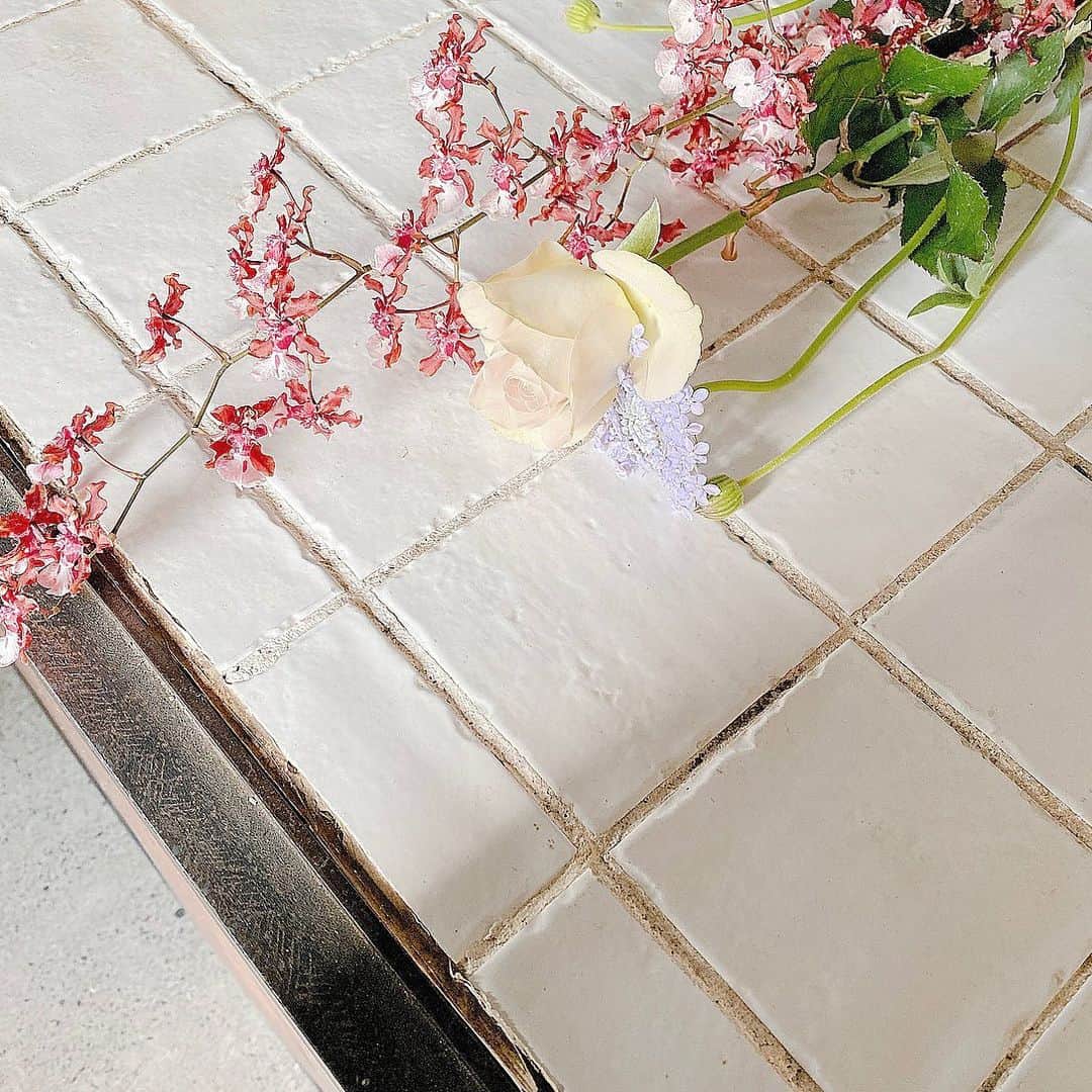 のインスタグラム：「* 癒し💭💐」