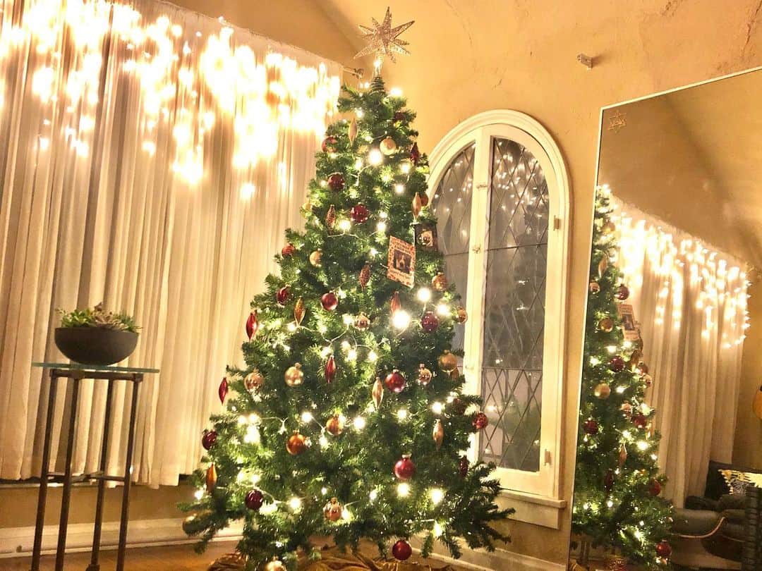 矢吹春奈さんのインスタグラム写真 - (矢吹春奈Instagram)「Good job👍💓  S & M👀✨✨ #christmastree」12月16日 12時58分 - yabukiharuna