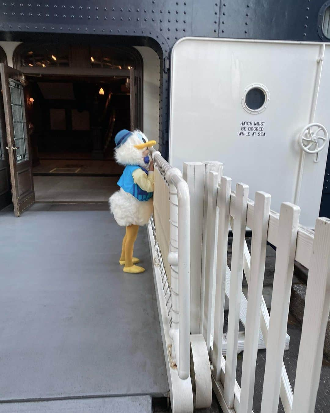 tiahy__のインスタグラム：「Dockside Stage ⚓︎. . . . 目線の先には…🦤. . . #donald_taia#taiacostume #tokyodisneysea」