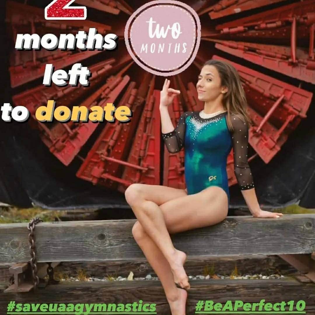 Inside Gymnasticsさんのインスタグラム写真 - (Inside GymnasticsInstagram)「Reposted from @uaagymnastics ❗️Fundraising Update❗️  With exactly 2 months to go UAA Gymnastics has secured OVER A QUARTER MILLION DOLLARS, keep the momentum going gymternet 💚💛  💵 Reminder that the next $25,000 in pledges WILL BE MATCHED: https://bit.ly/athleticpledgeform (direct link or can be found on GoFundMe pledge button)  #saveuaagymnastics #BeAPerfect10  . . . . #fundraiser #fundraising #charity #donate #nonprofit #community #support #help #donation #donations #dogood #instagood #socialgood #education #nonprofitorganization #makeadifference #hope #gymnastics #gym #gymnast #gymmotivation #gymlife #training #handstand #fit #sport #gymnasticslife」12月16日 14時43分 - insidegym