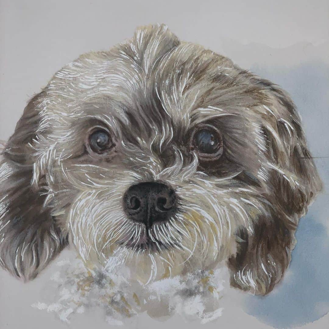 カリスマ・カーペンターさんのインスタグラム写真 - (カリスマ・カーペンターInstagram)「@raffisart I can’t believe how you captured Valentine so authentically. What a gifted artist you are! Thank you so much!  As my baby Valentine ages, I know the day to say goodbye is near. This portrait will forever memorialize her just as she is. They’re both framers!  (If anyone needs gift giving ideas, look no further! )  #Valentine #Cristiano」12月16日 15時04分 - charismacarpenter