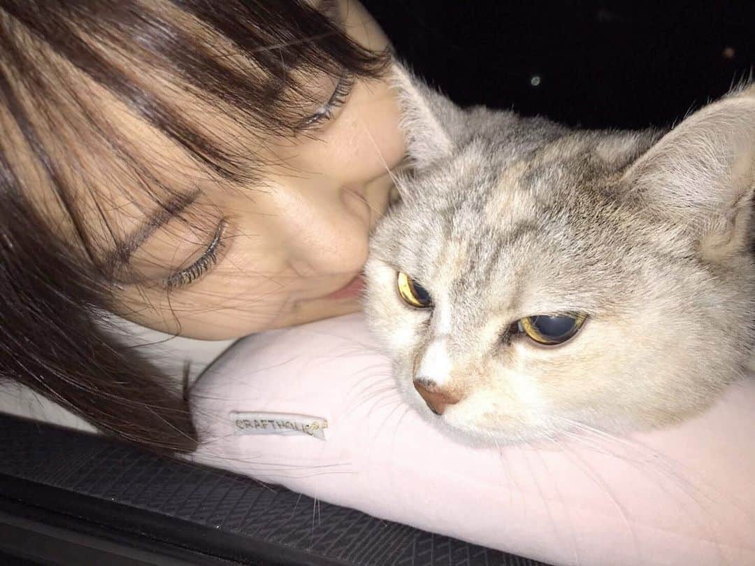 のインスタグラム：「💛💛💛」