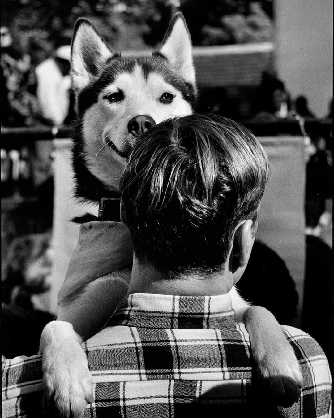 のインスタグラム：「DUNHILL COMMUNITY: CURATED⁠ ELLIOTT ERWITT’S DOGS⁠ ⁠ The fourth instalment of our Curated project celebrates photographer Elliott Erwitt’s Dogs, a book that pays tribute to man’s best friend in a series of funny, instinctive and endearing shots. ⁠ ⁠ "I don’t know of any other animals closer to us in qualities of heart, sentiment and loyalty.”⁠ - Elliott Erwitt⁠ ⁠ Photos courtesy of @magnumphotos and @elliotterwitt⁠ Book published by @teneuespublishing⁠ ⁠ #dunhillCOMMUNITY⁠ #dunhillCURATED⁠ #ElliottErwitt⁠ #Dogs」