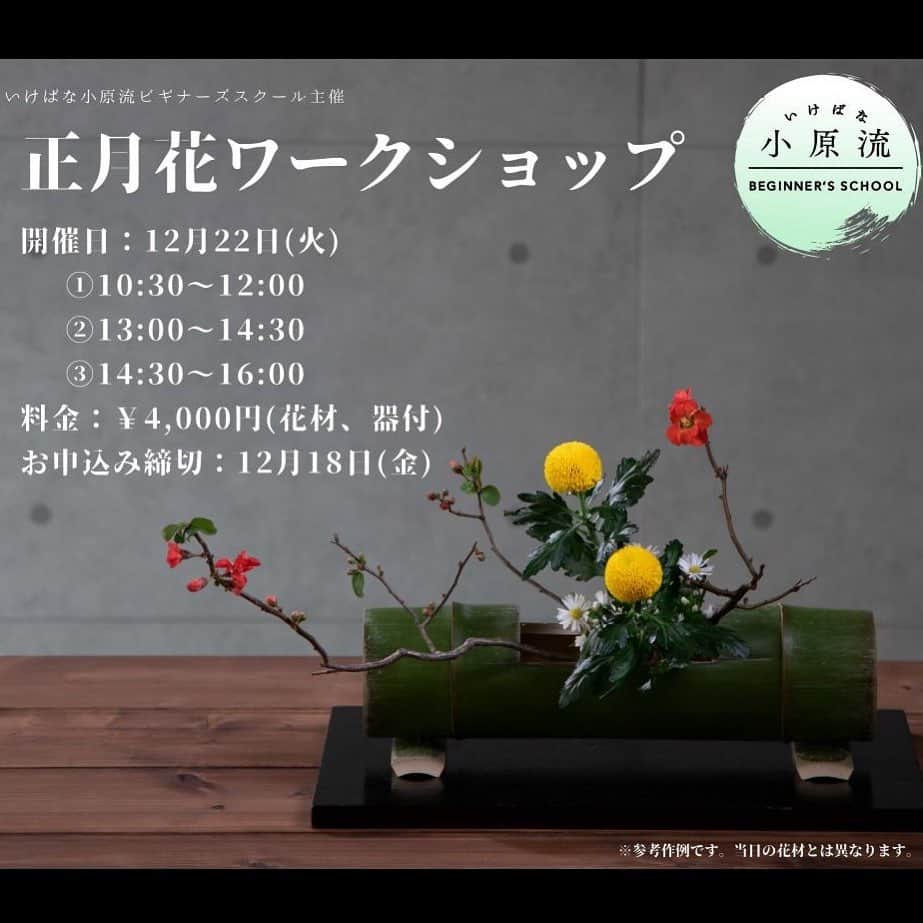 小原宏貴さんのインスタグラム写真 - (小原宏貴Instagram)「青山小原流ビギナーズスクール主催の「お正月花ワークショップ」の締切が二日後に迫っています🎍 10:00の回、13:00の回にまだ余裕がございますので、ご興味のある方はぜひ、お申込みください。 詳細は小原流ビギナーズスクールアカウントにて、ご確認ください @ikebana_ohara_bs  私は指導を担当しないのですが、自分でいけるお正月花の楽しさを体感いただけたらと思います！  お持ち帰りいただける竹の器も実際に拝見しましたが、正月にピッタリでした💡  さて、明日はお昼と夜に、ビギナーズスクールの指導予定です✂️ 在校生の皆様、よろしくお願いいたします。  #小原流 #いけばな小原流 #ohararyu  #oharaschoolofikebana #いけばな #插花 #ikebana #華道 #小原宏貴 #hirokiohara #花のある暮らし #花好きの人と繋がりたい #花 #華道家 #flower #flowerartist #小原流ビギナーズスクール #基本 #flowers #お正月飾り #お正月」12月16日 16時27分 - ohararyu_ohara.hiroki