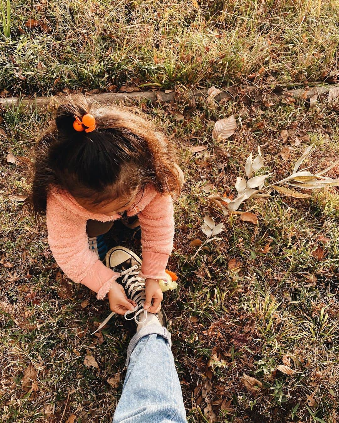 堀舞紀さんのインスタグラム写真 - (堀舞紀Instagram)「🍁🌰 . . . #outfit  . . . →スワイプ→ 椎の実 食べた事ある！？ . . . 今日も拾いに行こうとおもったのに 2時ごろから 急に寒くなって 山登りは断念💦 . . . トースターで焼くんだって😳 . . . 🌰 . . . #冬じたく #椎の実 #cannyO」12月16日 16時39分 - mainohori