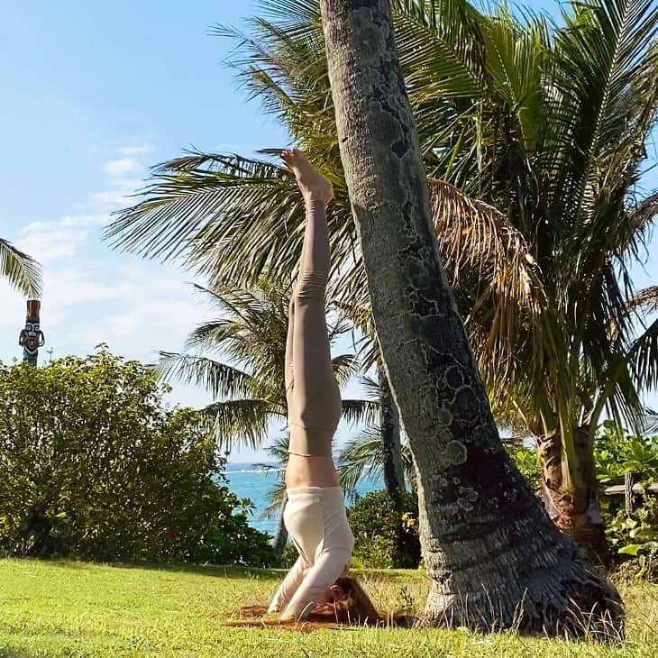 宮崎沙矢加さんのインスタグラム写真 - (宮崎沙矢加Instagram)「I can catch a view from different angle that was awesome🌴🤸‍♀️ . . #yogainstructor #yoga #meditation #love #headstand #yogalife #yogalove #yogateacher #yogainspiration #yogini #yolo #follow #yogawear #beachyoga #okinawa #okinawayoga #沖縄　#沖縄ヨガインストラクター #ヨガ　#沖縄ビーチ」12月16日 16時34分 - sarah___audrey