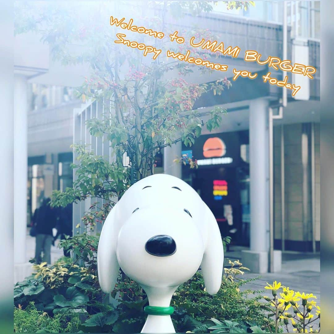 umamiburgerjpnさんのインスタグラム写真 - (umamiburgerjpnInstagram)「. 今日もスヌーピーがお出迎え💕  南町田グランベリーパークでは たくさんのスヌーピーと出会えますよ👍  UMAMI  BURGERにお越しの際は 映画館前のスヌーピーを目印にお越しくださいませ💁🏻‍♀️  #南町田グランベリーパーク #スヌーピー #umamiburger #umamiburgerjapan #出会える #うまみバーガー南町田グランベリーパーク店 #snoopy #welcome」12月16日 16時47分 - umamiburgerjpn