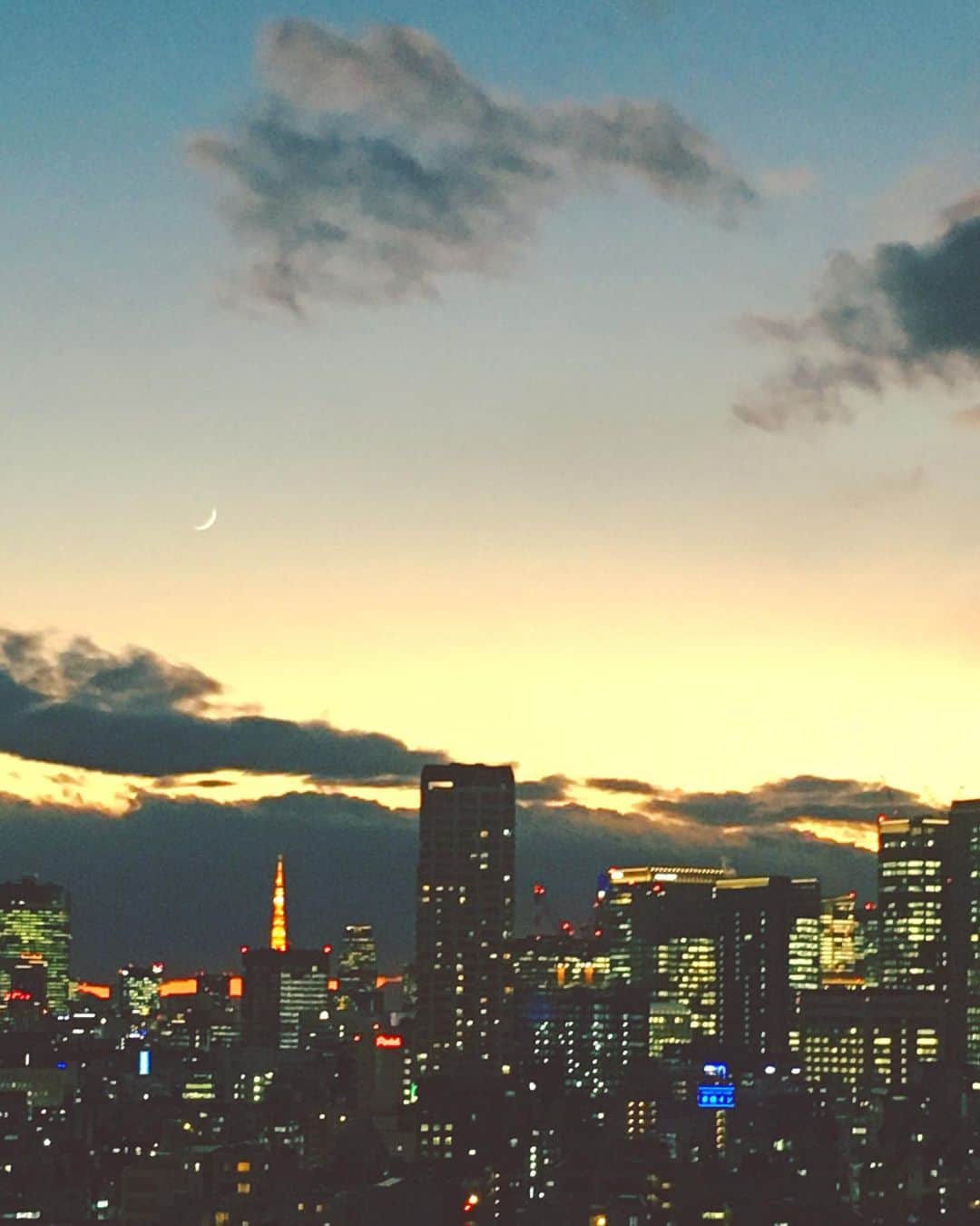 猫沢エミさんのインスタグラム写真 - (猫沢エミInstagram)「削り出した金の破片のような、美しい三日月が昇りました。  いつの間にか、満ちて、欠けて、また満ちていた。  時の流れにここまで無頓着になるとは。  月が薄く笑っている。  #東京下町時間」12月16日 17時05分 - necozawaemi