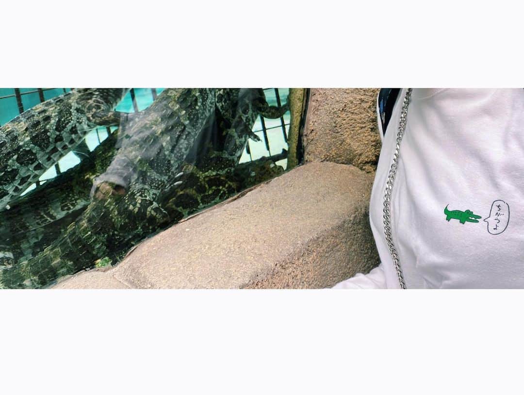 小池花瑠奈さんのインスタグラム写真 - (小池花瑠奈Instagram)「こんばんは。 12月もあと少し。 今年、一度しか行けなかった 愛してやまない熱川バナナワニ園。 そろそろワニ園に行って実物のワニと触れ合いたい気持ちです🐊🍌(ここで飲むバナナジュースも大好き。)  この時　満を持してワニ園に着て行ったのは ワニのロゴで有名なラコス、、ではなく 密かにフォローさせていただいている おほしんたろうさんのTシャツ！ インスタで一目惚れし ビレバンで予約をして、ワクワク買ったちがうよワニTシャツです。 とーっっても可愛い！ 3枚目の写真のロゴに注目していただきたいです。 ちがくていいんだよ〜🐊  来年もまたこのTシャツを着てワニ園に行きたいなぁ。 熱川バナナワニ園について語ると長くなるので…来年行った時に写真と共に投稿しようっと🌴  #ワニ #熱川バナナワニ園 #ワニ園  #ちがうよ #imnot #お気に入り #おほしんたろう さん」12月16日 18時04分 - natsu_matsumiya