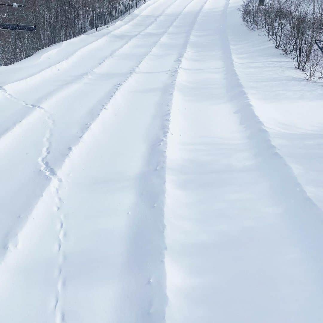 岩垂かれんさんのインスタグラム写真 - (岩垂かれんInstagram)「今年は雪が早かったので いつもより少し早めのシーズンイン☃️ たくさん雪が降りますように。  感染防止対策をしてスキー場へ。 @gosnowresort  #gosnowresort」12月16日 18時08分 - kareniwadare