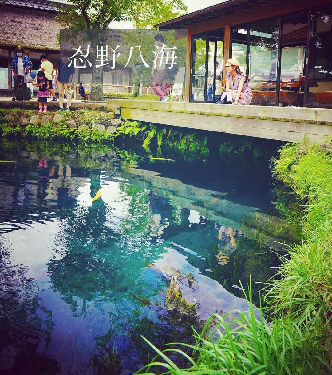 大山恵理乃さんのインスタグラム写真 - (大山恵理乃Instagram)「澄んでいて綺麗。﻿ こんなところで生きれるなんて﻿ 此処にいる魚たちは幸せやなぁ。﻿ ﻿ ﻿ 富士山の雪解け水が湧いて出来た池。﻿ 너무 예뿐 연못. ﻿ ﻿ 忍野八海﻿ ﻿ ﻿ ﻿ photo： @eristavi_official  ﻿」12月16日 18時10分 - erino_ohyama