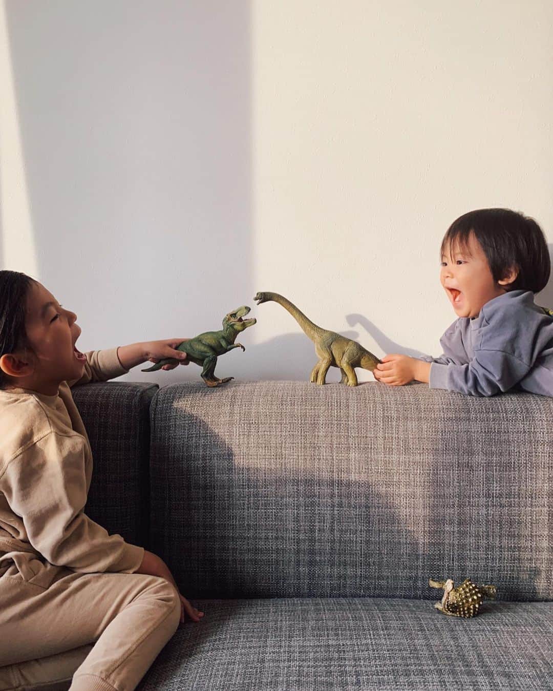 春名亜美さんのインスタグラム写真 - (春名亜美Instagram)「最近、我が家に仲間入りした @schleichjapan の恐竜シリーズ🦖🦕  唯一少しだけ仲良く遊んでくれるのが、この恐竜の戦いごっこ🦕🦖  長男はクリスマスが近いことを知ってるから、「あ〜、次、○○サウルスが欲しいなぁ〜」とか言ってくる。こっちをチラッと見ながら。  しかし、この恐竜たち、本当リアルで良く出来てる。 皮膚のザラザラ感とか、こんな感じだったのかなぁなんて思いながら、私も触ってみたり。笑  それにしても。 この歳になって、こんなに恐竜の名前を覚えることになるとはね。 ・ ・ ・ #schleich #兄弟ママ #兄弟 #シュライヒ #フィギュア #おもちゃ #恐竜 #PR」12月16日 19時17分 - amiharunaami