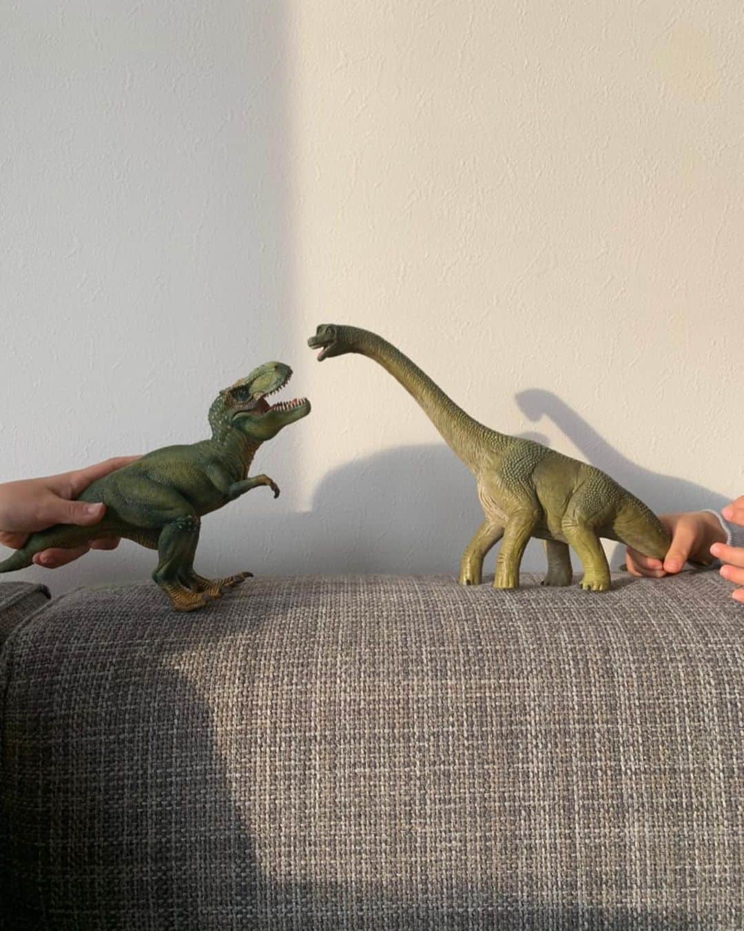 春名亜美さんのインスタグラム写真 - (春名亜美Instagram)「最近、我が家に仲間入りした @schleichjapan の恐竜シリーズ🦖🦕  唯一少しだけ仲良く遊んでくれるのが、この恐竜の戦いごっこ🦕🦖  長男はクリスマスが近いことを知ってるから、「あ〜、次、○○サウルスが欲しいなぁ〜」とか言ってくる。こっちをチラッと見ながら。  しかし、この恐竜たち、本当リアルで良く出来てる。 皮膚のザラザラ感とか、こんな感じだったのかなぁなんて思いながら、私も触ってみたり。笑  それにしても。 この歳になって、こんなに恐竜の名前を覚えることになるとはね。 ・ ・ ・ #schleich #兄弟ママ #兄弟 #シュライヒ #フィギュア #おもちゃ #恐竜 #PR」12月16日 19時17分 - amiharunaami