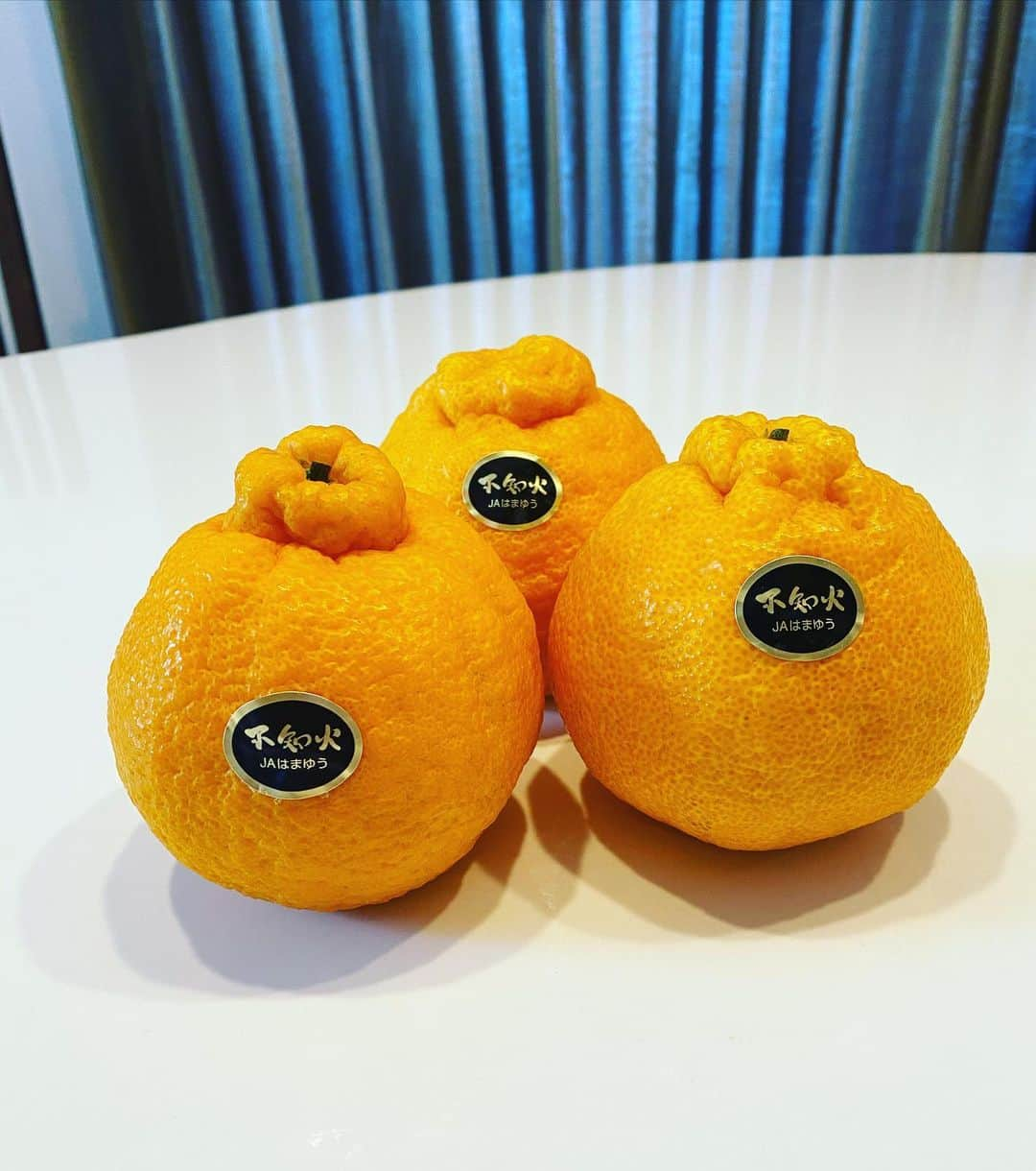 川島恵さんのインスタグラム写真 - (川島恵Instagram)「不知火🍊 みずみずしくて、美味しかったです❤️ 寒さに負けず風邪等ひかないように気をつけていきたいですね。 ・ #不知火 #ポンカン #みかん #果汁たっぷり #果肉やわらか #柑橘 #柑橘類 #宮崎」12月16日 19時13分 - mrt.kawashima