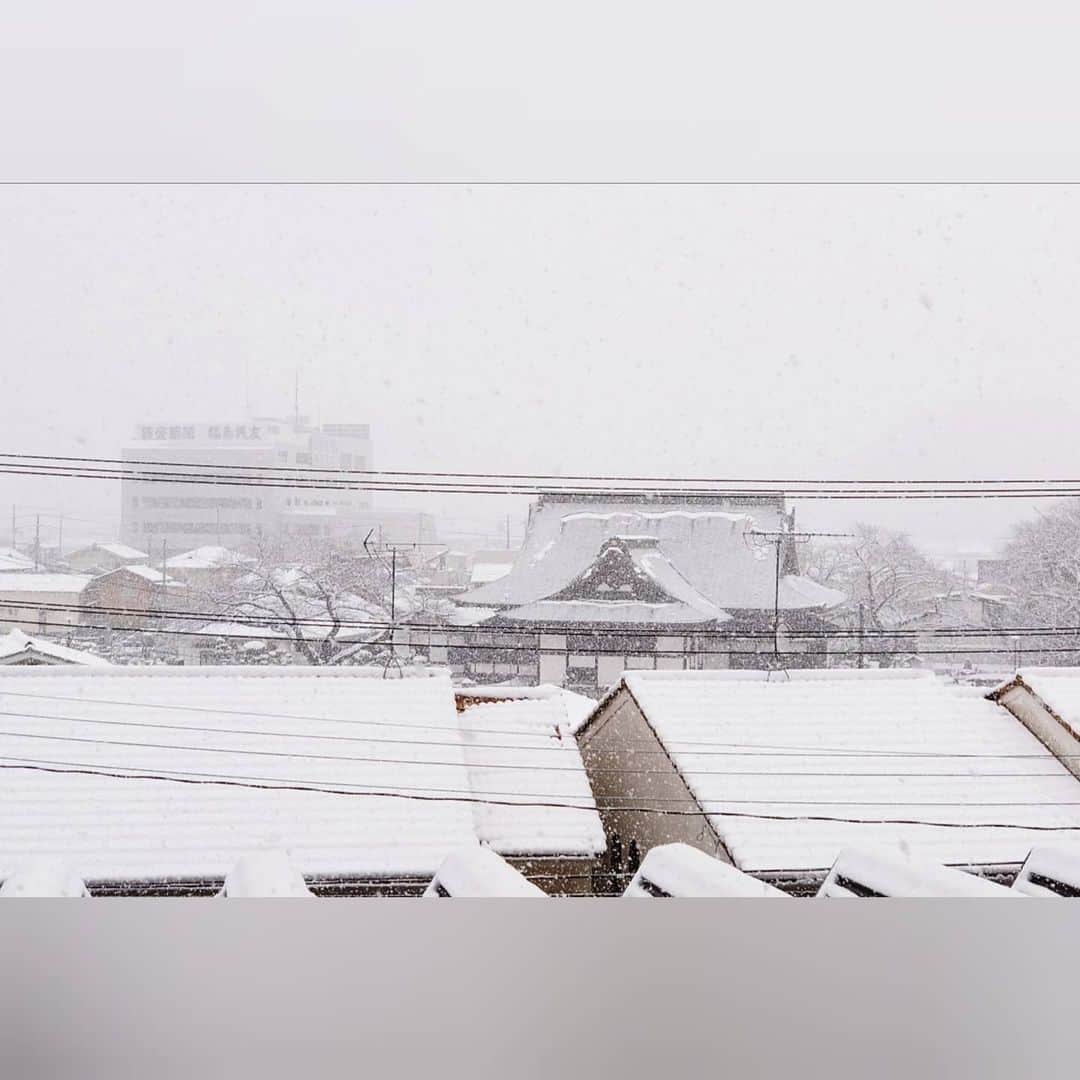 松野行秀さんのインスタグラム写真 - (松野行秀Instagram)「· 昨日、初雪の話題を投稿したと思ったら、今日は朝から本格的な雪となり、街中にもかなりの積雪がありました☃️ · · 【雪道の安全な歩き方🖌️】 · 〇「足の裏全体で着地する」 ・かかとから着地してつま先へ体重を移動すると滑りやすいので、雪道では足の裏全体を同時に地面につけて、しっかり踏み締めながら歩くようにする。 ・重心は少し前の方へ持って行く。 · · 〇「足を高く上げずに、歩幅を小さくゆっくり歩く」 ・足を高く上げて大きな歩幅で歩くとバランスを崩しやすいので、雪道では出来るだけ歩幅を小さく、あまり足を上げずにゆっくり歩く。 · · 〇「転びにくそうな場所を選んで歩く」 ・ちょっと遠回りをしても凍結している場所を避けて歩くようにする。 ・雪が踏み固められている場所や日陰にも注意が必要。 · · 〇「両手を空けておく」 ・万が一バランスを崩して転んでも、両手が空いていれば両手を着けて身体を守ることが出来る。 ・ポケットに手を入れて歩かないようにする。 · · · 「転ばぬ先の杖」として、皆さん是非ご参考になさって下さい😊 · #雪 #雪道 #転ばぬ先の杖」12月16日 19時26分 - g.matsuno