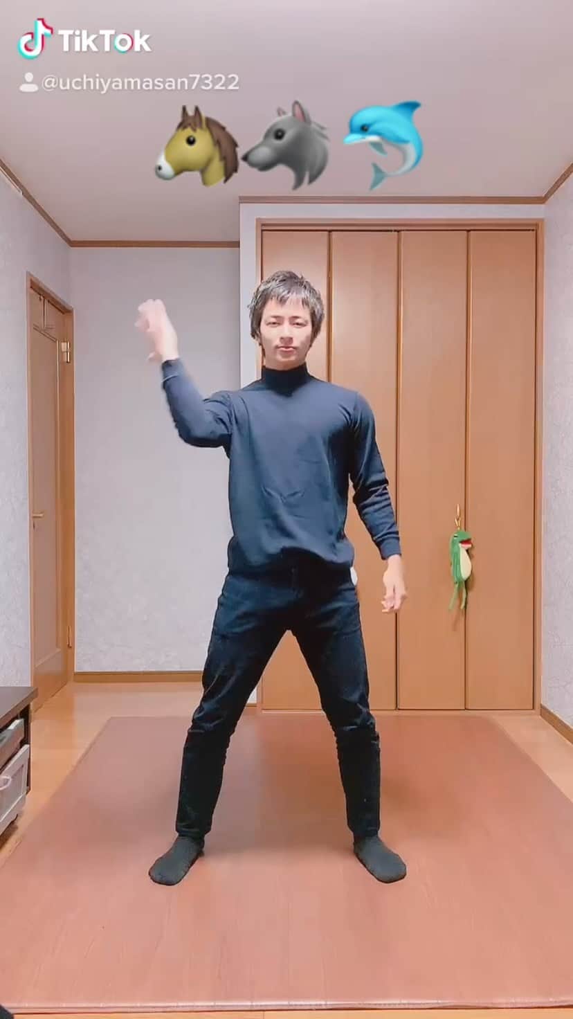 のインスタグラム：「🐴🐺🐬   #内山さん #別の感覚器官」