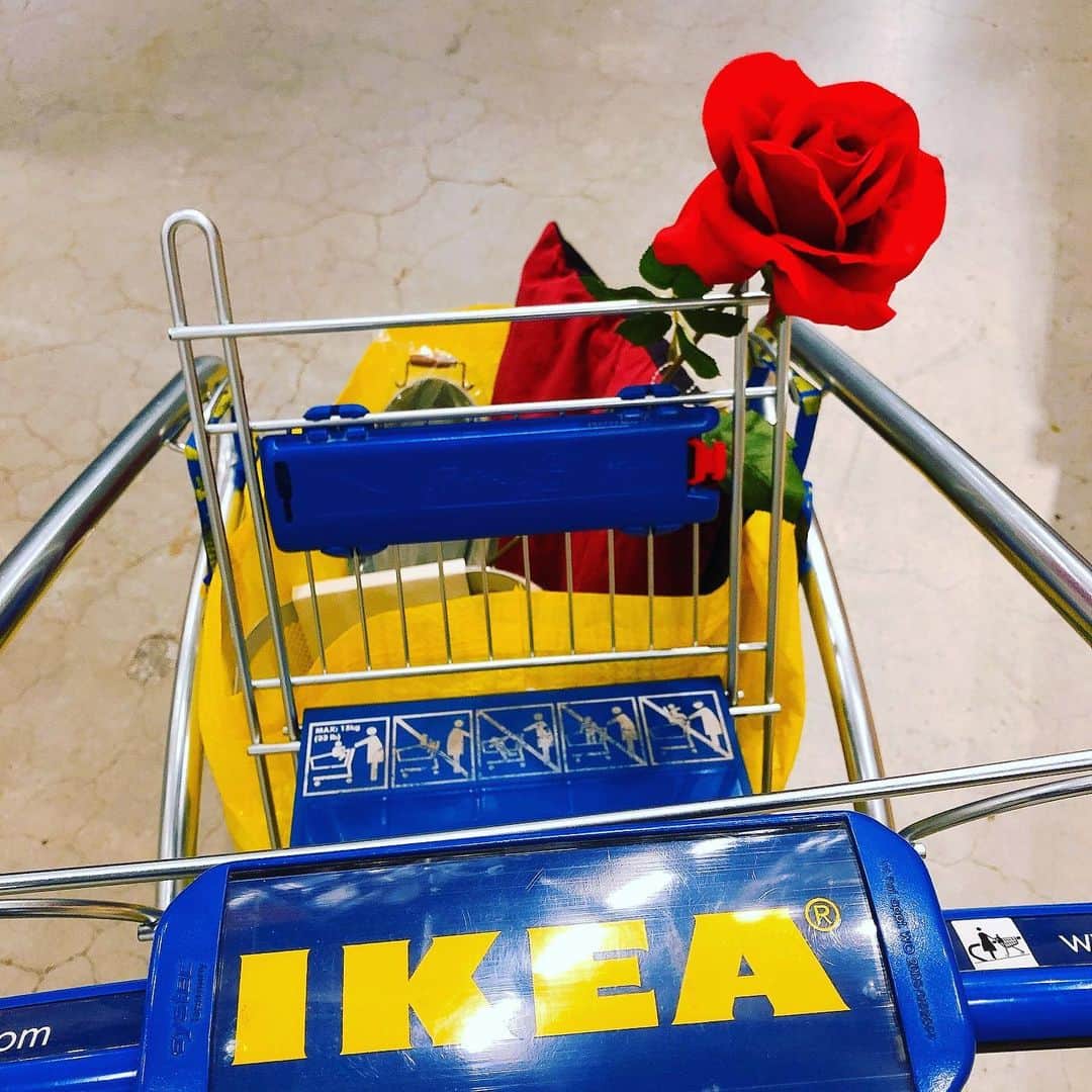 千秋さんのインスタグラム写真 - (千秋Instagram)「みんなでIKEAでお買い物💙💛  #ikea」12月16日 19時48分 - chiaki77777