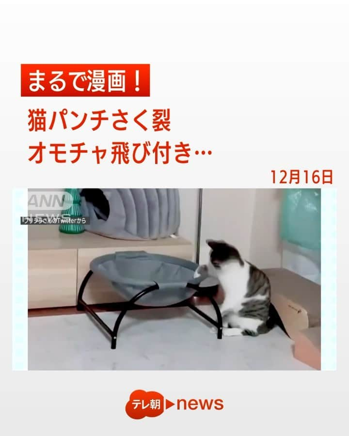 テレ朝newsのインスタグラム