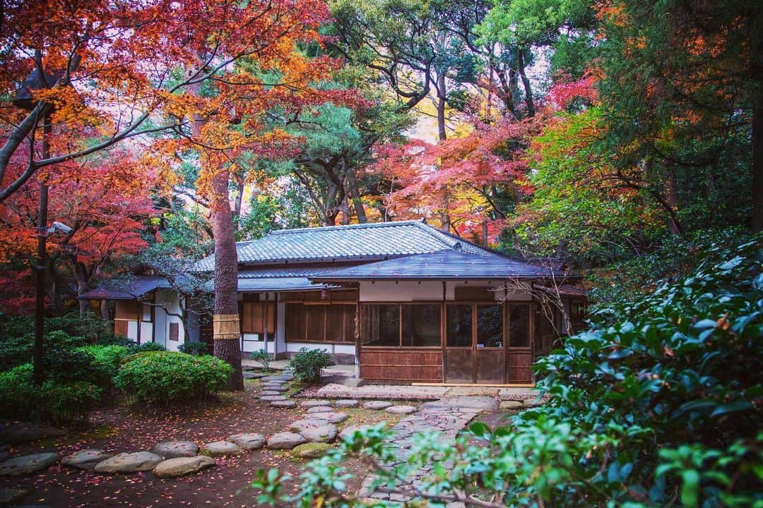 八芳園さんのインスタグラム写真 - (八芳園Instagram)「今年も終わりに近づき、庭園の季節も移ろってゆきます。 . もうすぐやってくる、クリスマス🎄 どのようにお過ごしですか？ . ご自宅でのクリスマスを彩る パンの専門家”パンシェルジュ”と八芳園がタイアップ 日本の素材にこだわった究極のシュトーレン。 . 明日12月17日(木)12:00より限定で 「究極のシュトーレン」30本を MuSuBuにて店頭販売いたします！ . 今回ご用意する「究極のシュトーレン」には、 魅力あふれる日本の素材を贅沢に14種類使用。 . 鹿児島県の自然栽培の砂糖や、 袋を開けた瞬間に広がる大島バターの豊潤な香りは、 いままでに食べたことのない至高の味わいです。 . アルコール不使用という シュトーレンの常識を覆す製法をし、 アクセントのマジパンは、 四万十栗のペーストで再現しております。 . おうちで楽しむクリスマスの彩りに、 ご自分へのご褒美やご友人へのプレゼントに。 . クリスマスの幸せな味わいの シュトーレンをぜひご堪能ください。 . 特設サイトからも購入いただけます。 https://www.kentei-uketsuke.com/pancierge/ultimate01/ . ご不明な点がございましたら、 お気軽にお問い合わせください。 . . @musubu_happoen  . . #八芳園 #結婚式場 #クリスマス #🎄 #おうちクリスマス #シュトーレン #Christmas . #日本庭園  #紅葉 #紅葉スポット #港区 #白金台 . #東京観光  #東京カメラ部  #写真好きな人と繋がりたい  #カメラ好きな人と繋がりたい  . #japanesegarden  #tokyotrip  #forbestravelguide #japan_of_insta  #wonderful_places #bestphoto_japan  #instravel  #team_jp_  #earthpix  #tokyocameraclub  #jp_views」12月16日 19時59分 - happoen