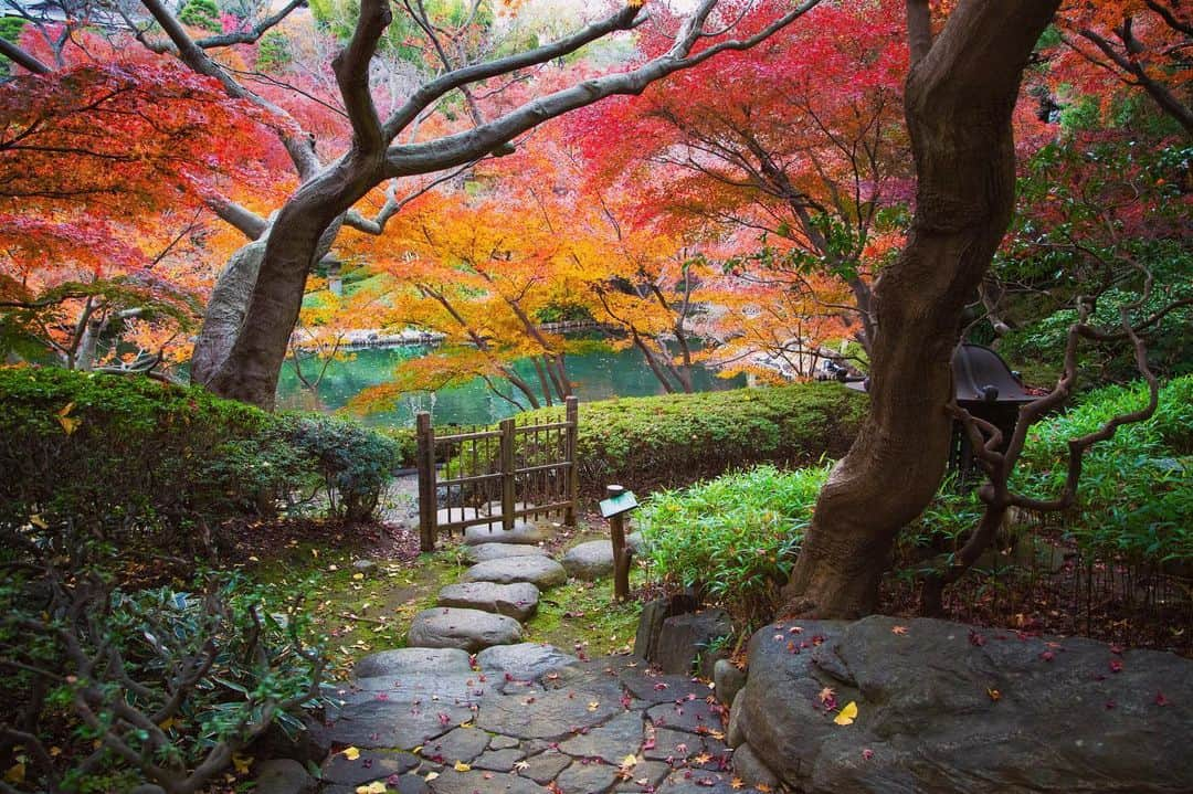 八芳園さんのインスタグラム写真 - (八芳園Instagram)「今年も終わりに近づき、庭園の季節も移ろってゆきます。 . もうすぐやってくる、クリスマス🎄 どのようにお過ごしですか？ . ご自宅でのクリスマスを彩る パンの専門家”パンシェルジュ”と八芳園がタイアップ 日本の素材にこだわった究極のシュトーレン。 . 明日12月17日(木)12:00より限定で 「究極のシュトーレン」30本を MuSuBuにて店頭販売いたします！ . 今回ご用意する「究極のシュトーレン」には、 魅力あふれる日本の素材を贅沢に14種類使用。 . 鹿児島県の自然栽培の砂糖や、 袋を開けた瞬間に広がる大島バターの豊潤な香りは、 いままでに食べたことのない至高の味わいです。 . アルコール不使用という シュトーレンの常識を覆す製法をし、 アクセントのマジパンは、 四万十栗のペーストで再現しております。 . おうちで楽しむクリスマスの彩りに、 ご自分へのご褒美やご友人へのプレゼントに。 . クリスマスの幸せな味わいの シュトーレンをぜひご堪能ください。 . 特設サイトからも購入いただけます。 https://www.kentei-uketsuke.com/pancierge/ultimate01/ . ご不明な点がございましたら、 お気軽にお問い合わせください。 . . @musubu_happoen  . . #八芳園 #結婚式場 #クリスマス #🎄 #おうちクリスマス #シュトーレン #Christmas . #日本庭園  #紅葉 #紅葉スポット #港区 #白金台 . #東京観光  #東京カメラ部  #写真好きな人と繋がりたい  #カメラ好きな人と繋がりたい  . #japanesegarden  #tokyotrip  #forbestravelguide #japan_of_insta  #wonderful_places #bestphoto_japan  #instravel  #team_jp_  #earthpix  #tokyocameraclub  #jp_views」12月16日 19時59分 - happoen