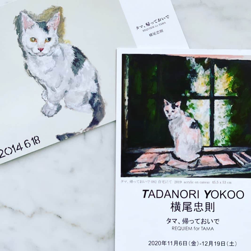 春香さんのインスタグラム写真 - (春香Instagram)「今日は横尾忠則さんの展覧会 「タマ、帰っておいで」へ。  今年の春頃に出版された画文集で既に拝見していましたが、実際に絵画が観たくて。12/19までの会期にギリギリ間に合いました。  愛猫との日常が優しい眼差しで描かれていて、でも、それが温かい時間であればある程、観ている方はとても切ないのですが、タマと過ごした時間の尊さを肌で感じる展示空間で、心が動かされる絵画ばかりでした。  #日本橋#西村画廊#横尾忠則#tadanoriyokoo #タマ帰っておいで#cat#catlife #neko #猫との暮らし #猫のいる暮らし #cat」12月16日 20時01分 - haruka__official