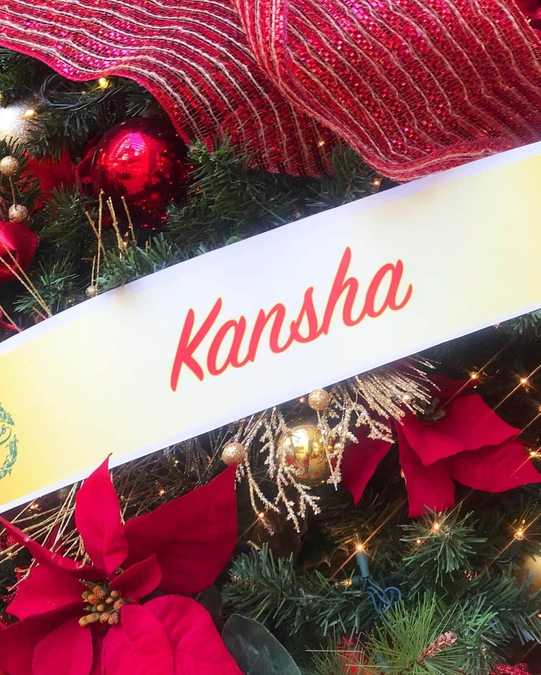 KAUKAU/カウカウハワイさんのインスタグラム写真 - (KAUKAU/カウカウハワイInstagram)「ハワイのホテルやショッピングモールのクリスマスツリーを集めてきました🎄 場所ごとにその色が出た可愛いデザインのツリーは、最新のストーリーまたはこちらのリンクから😆 https://www.kaukauhawaii.com/editornews/153251/  #hawaii #beach #luckywelivehawaii #Oahu #ハワイ #ハワイ景色 #アラモアナセンター #ハワイ絶景 #alamoanacenter #kaukau #kaukauhawaii #カウカウ #カウカウハワイ #christmas #クリスマス #melekalikimaka #メレカリキマカ」12月17日 6時34分 - kaukau_hawaii