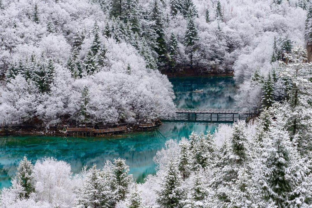 Michael Yamashitaさんのインスタグラム写真 - (Michael YamashitaInstagram)「Winter wonderland, Jiuzhaigou National Park: photographers luck to catch a rare heavy snow fall, and all melted by noon. It was in Jiuzhaigou - China’s most popular and remote - national park, I first heard of the ancient trade route, the Chamagudao, or Tea Horse Road, which began over 2500 years ago when Chinese merchants started trading tea to Tibetans in exchange for horses. Part of the network of roads still winds through Jiuzhaigou today.   From the new edition of SHANGRI-LA [ALONG THE TEA ROAD TO LHASA]. Available where books are sold. @yamashitaphoto #Sichuan #JiuzhaigouValley #JiuzhaiValley #Jiuzhaigou #teahorseroad #chamagudao #ShangriLa」12月17日 6時52分 - yamashitaphoto