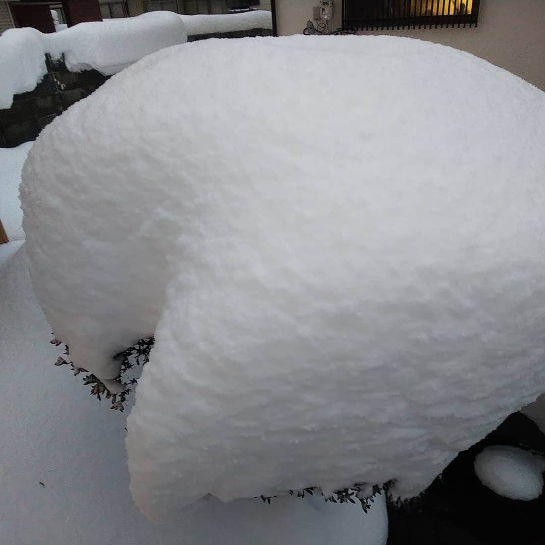 みながわゆみさんのインスタグラム写真 - (みながわゆみInstagram)「#おはようございます #今日も素敵な一日を #イマソラ #いまそら #雪 #雪が積もりました #寒さに負けずに頑張ろう」12月17日 6時54分 - nama.09.19