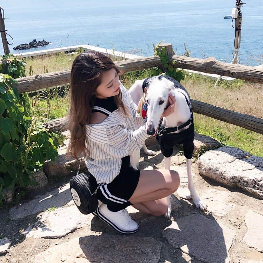 のインスタグラム：「. . . ランディ13年間 お疲れ様でした☺︎ . どんくさいけど大人しくて 優しくて甘えん坊な 可愛い子でした。 . 里親募集で見つけて引き取るって 言い張ったのもランディって 名前つけたのも私だったな。 . 全然実家帰れなかったし 年末まで間に合わなかったー。 . ランディ生まれて来てくれて ありがとう安らかに眠ってください^ ^ . . . #ボルゾイ#犬」