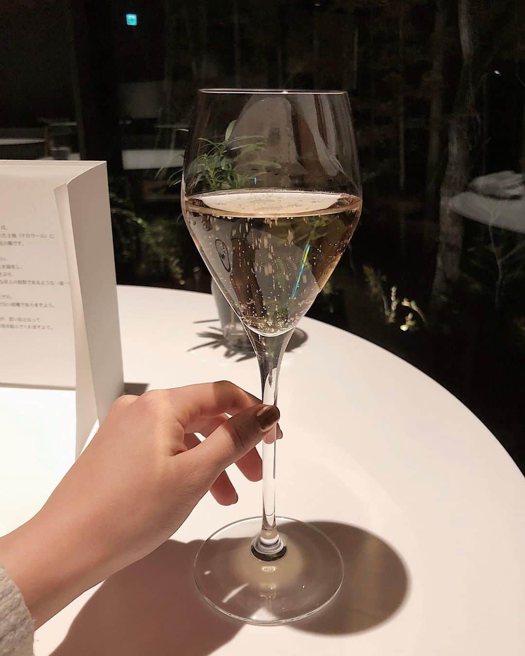 Julia Castroさんのインスタグラム写真 - (Julia CastroInstagram)「また素敵な思い出が増えました🥂 . #champagne #dinner #birthday #happybirthday  #drink #wine  #sparklingwine  #sparkling #juice  #tochigi #japan #誕生日 #ディナー #夜ご飯 #シャンパン #お祝い #スパークリング #12月の思い出 #お誕生日 #YouTubeをお楽しみに」12月16日 22時01分 - julia.c.0209