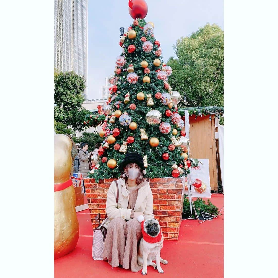 湯浅かえでのインスタグラム：「めりくり🎄🐶 #クリスマスマーケット」