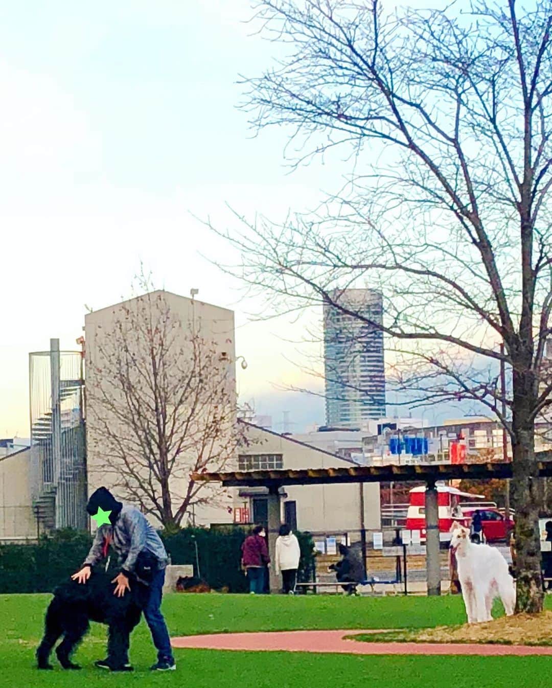 しなしさとこさんのインスタグラム写真 - (しなしさとこInstagram)「. . 初、新横浜公園ドッグラン 🐕🌸息子、暑い！と半袖 👕若いって素晴らしい笑 . 寒さに弱い私は息子の 脱いだ服を次から次へ と着込んで雪だるま⛄️ . .  #しなしさとこ #satokoshinashi #格闘技 #女子格闘技 #ジョシカク#黒シュナ #giantschnauzer #ジャイアントシュナウザー #シュナウザー #schnauzerworld #1歳犬 #シュナスタグラム #ドッグラン #大型犬のいる生活 #大型犬のいる生活#新横浜公園ドッグラン #新横浜公園#若いって素晴らしい」12月16日 22時08分 - shinashisatoko