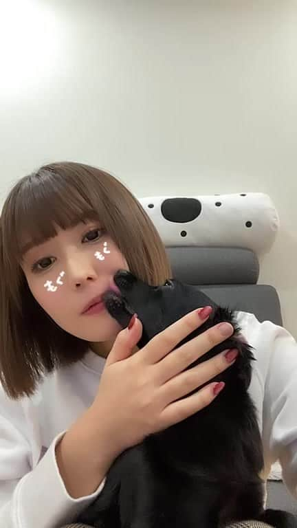 藤森里穂のインスタグラム：「インスタライブ」