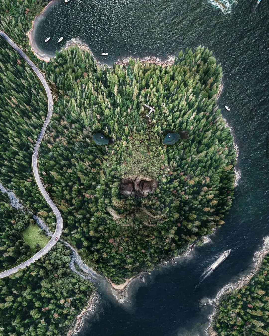 Animalsのインスタグラム：「Bear Island 🐻 🍃 #bear #summer By: @fabienbarrau . . . . #cute #love #stylish #photooftheday #perfect #fashioninsta #bestoftheday #gorgeous #beautiful #streetstyle #amazing #balcony #goals #babies #fashionpost #girl #dress #beach #inspiration #baby #fashionable #flowers #style #fashion #fashionblog #babe #insta_animall」