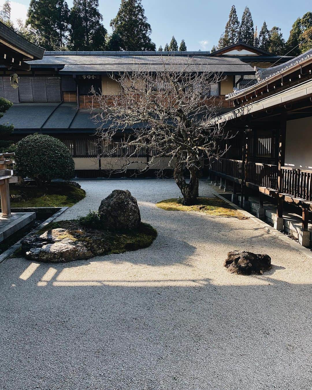 永田杏奈さんのインスタグラム写真 - (永田杏奈Instagram)「・ 冬桜、苔と紅葉の緑と赤のコントラストがとっても綺麗だった西芳寺。　  完全予約制なので、例年ここは紅葉のベストシーズンは中々予約が取れないみたいだけど見れて良かった🍁😌 最後の写真、京都御所も神々しい空気が流れててパワーを頂きました。  #京都旅行 #西芳寺 #苔寺 #京都御所 #annastrip📍」12月16日 23時09分 - annanagata