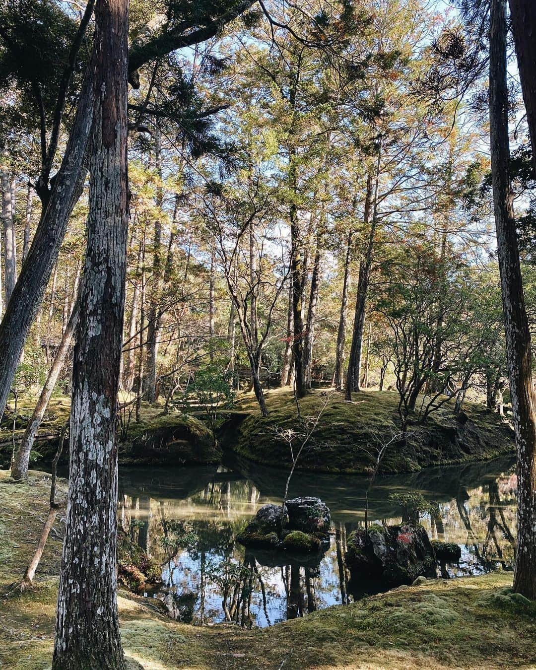 永田杏奈さんのインスタグラム写真 - (永田杏奈Instagram)「・ 冬桜、苔と紅葉の緑と赤のコントラストがとっても綺麗だった西芳寺。　  完全予約制なので、例年ここは紅葉のベストシーズンは中々予約が取れないみたいだけど見れて良かった🍁😌 最後の写真、京都御所も神々しい空気が流れててパワーを頂きました。  #京都旅行 #西芳寺 #苔寺 #京都御所 #annastrip📍」12月16日 23時09分 - annanagata