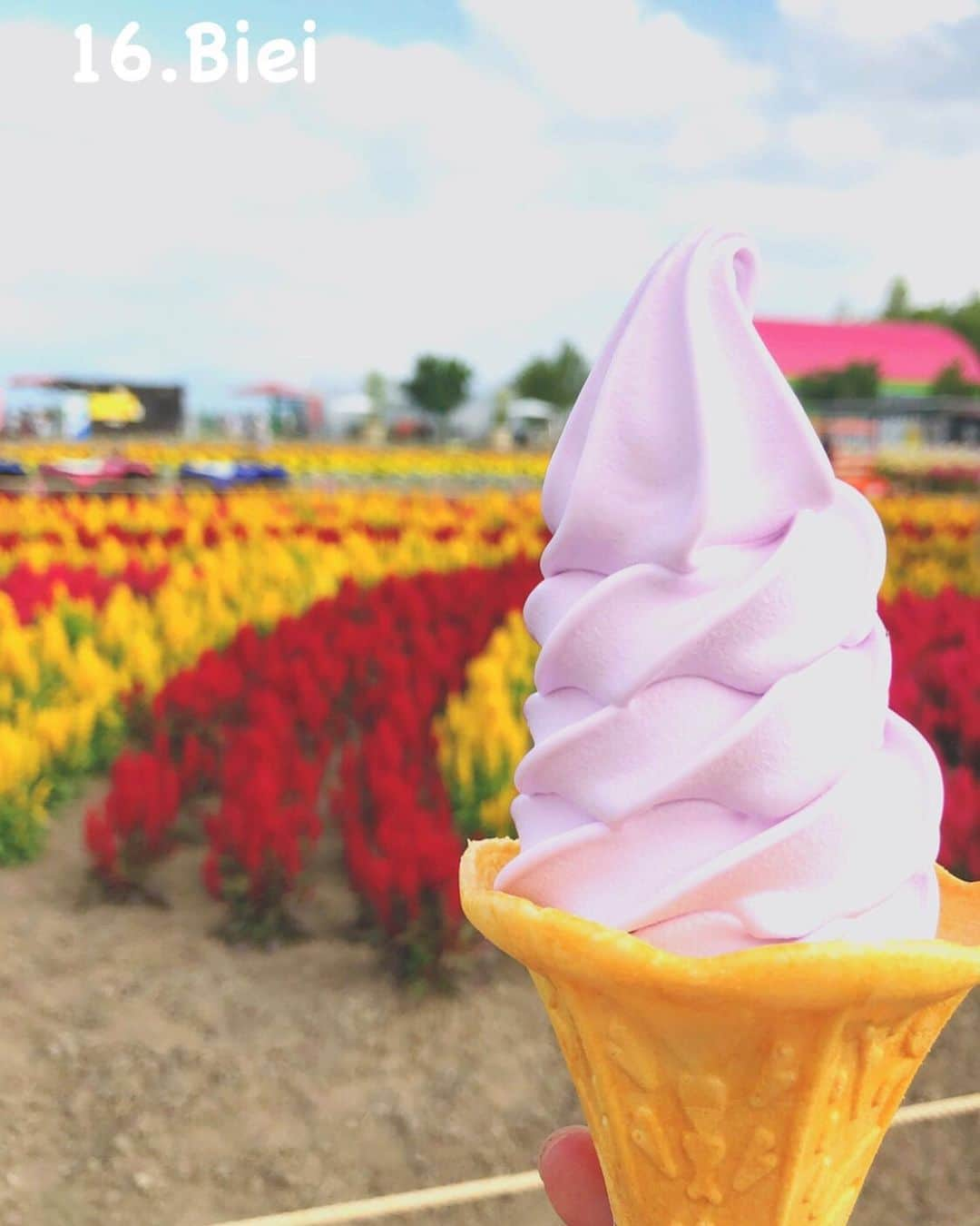 岡田和樹のインスタグラム