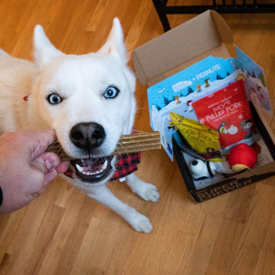 The Dogistさんのインスタグラム写真 - (The DogistInstagram)「GIVEAWAY: on the 16th day of DOGMAS, #TeamDogist gave to me… a SIX MONTH subscription of @superchewer! If you missed out on our @barkbox giveaway, do not worry – Super Chewer is a monthly subscription box that includes durable toys & chews for that extra mouthy pup in your life. TO ENTER: tag a friend below, and follow @superchewer, @thedogistshop, @wafflenugget, @simonsits and @chasingelsa. Winner will be announced TOMORROW! Merry Dogmas!」12月16日 23時46分 - thedogist