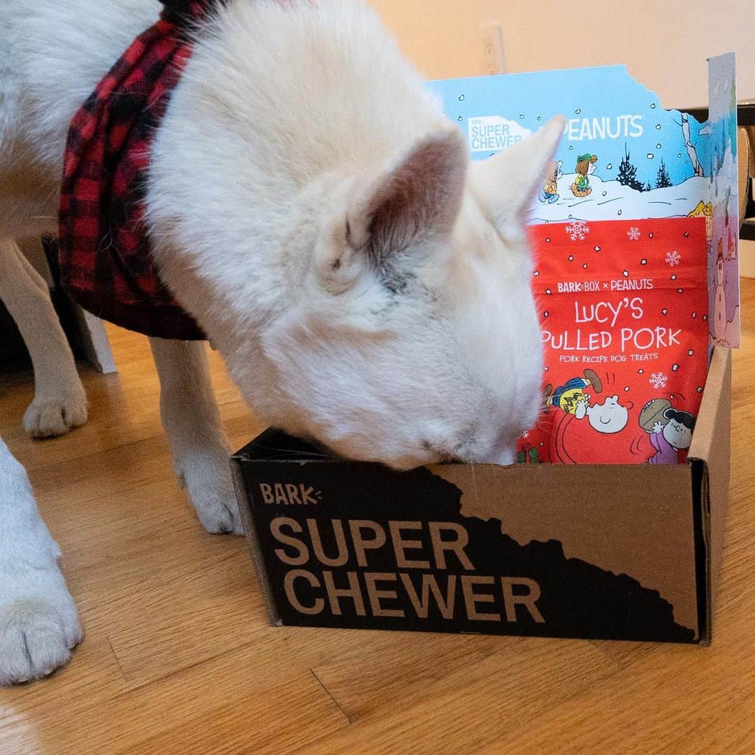 The Dogistさんのインスタグラム写真 - (The DogistInstagram)「GIVEAWAY: on the 16th day of DOGMAS, #TeamDogist gave to me… a SIX MONTH subscription of @superchewer! If you missed out on our @barkbox giveaway, do not worry – Super Chewer is a monthly subscription box that includes durable toys & chews for that extra mouthy pup in your life. TO ENTER: tag a friend below, and follow @superchewer, @thedogistshop, @wafflenugget, @simonsits and @chasingelsa. Winner will be announced TOMORROW! Merry Dogmas!」12月16日 23時46分 - thedogist